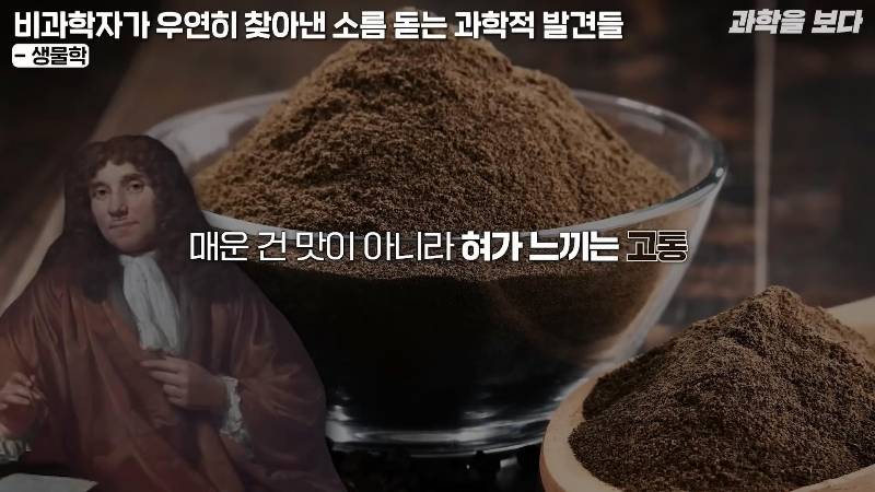 후추 먹다가 세계 최초로 미생물 발견하고 미생물학의 아버지가 된 포목상 | 인스티즈