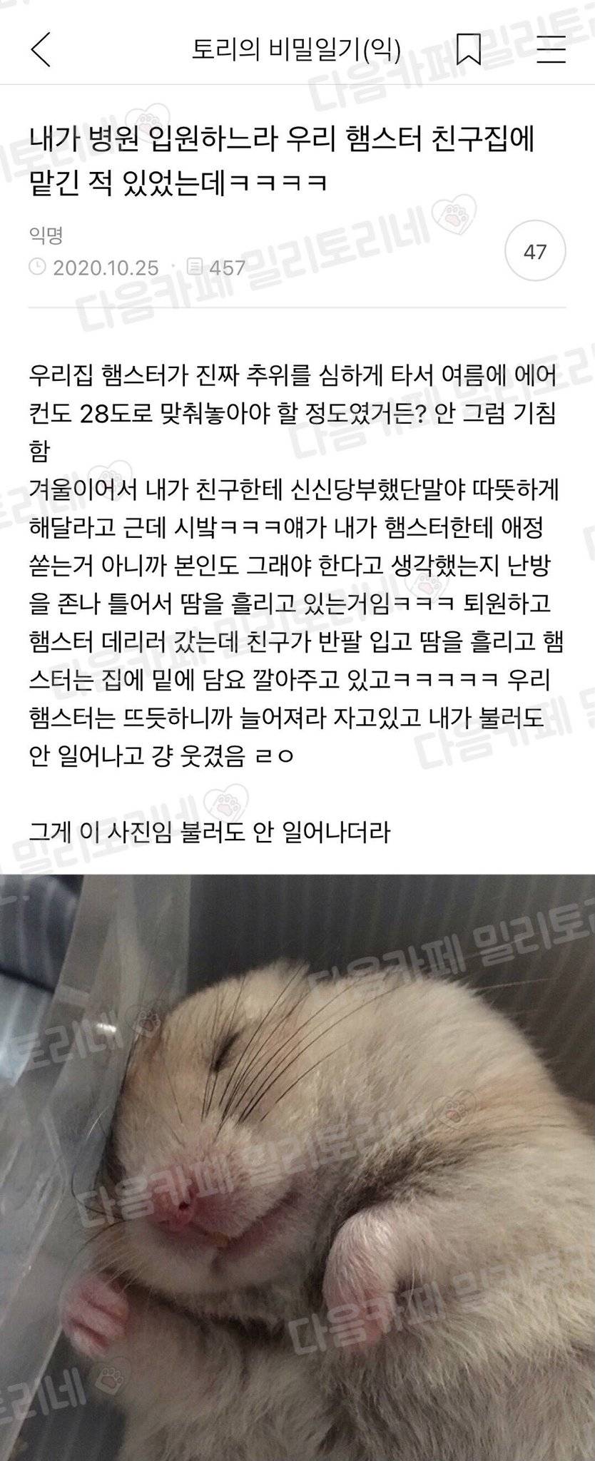 입원하느라 햄스터 친구집에 맡긴 적 있었는데ㅋㅋㅋㅋ.jpg | 인스티즈