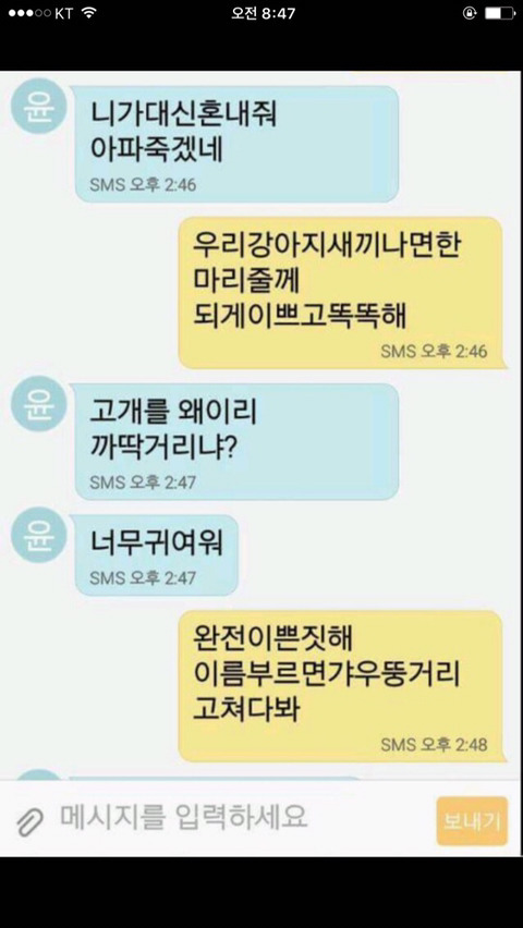 고전) 강아지 사진 하나 보낼때마다 막걸리 1병 | 인스티즈