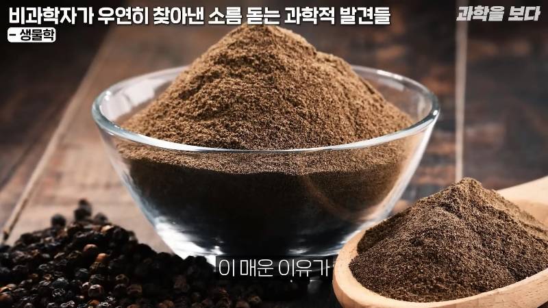 후추 먹다가 세계 최초로 미생물 발견하고 미생물학의 아버지가 된 포목상 | 인스티즈