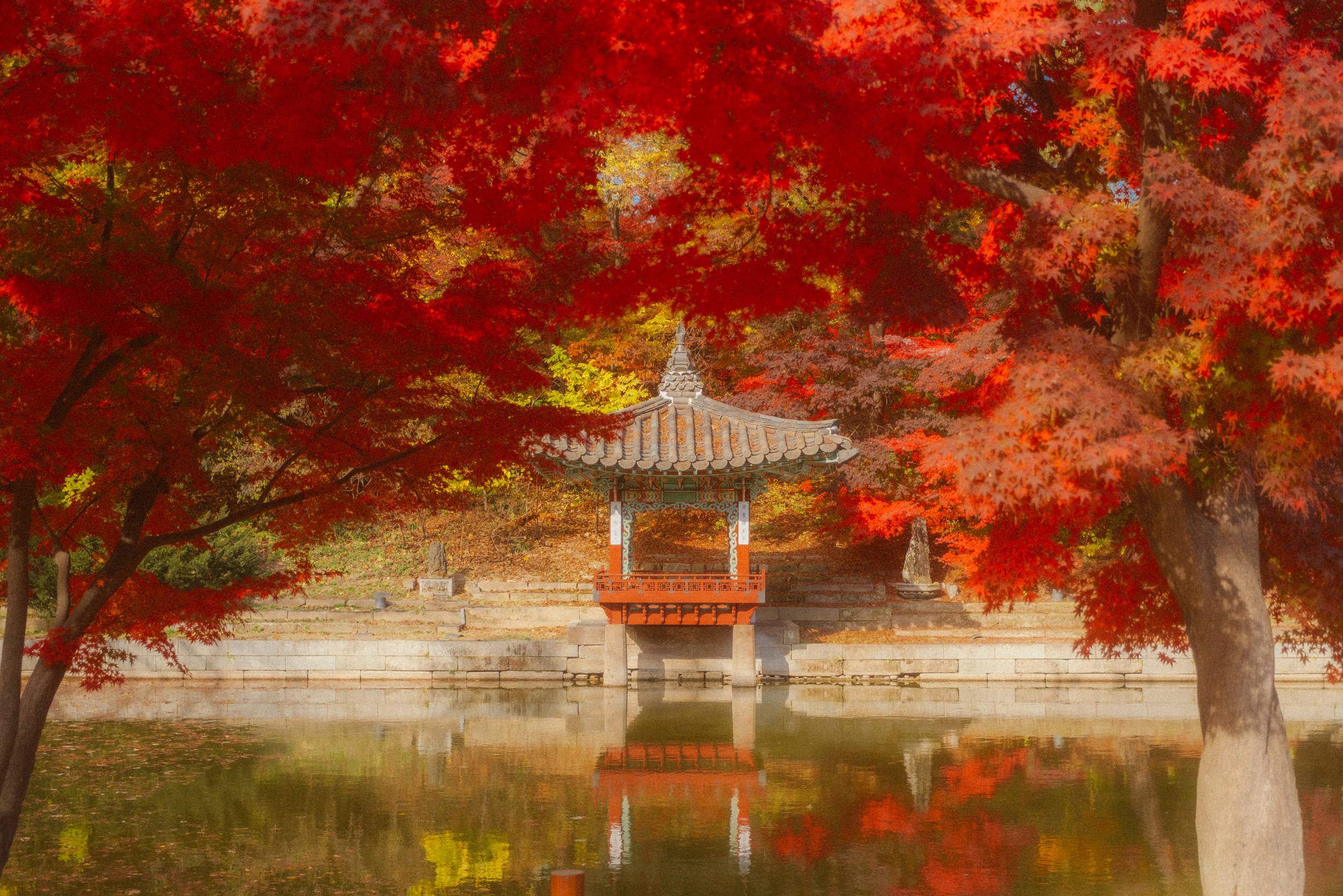 어제 담아온 가을 🍂 | 인스티즈