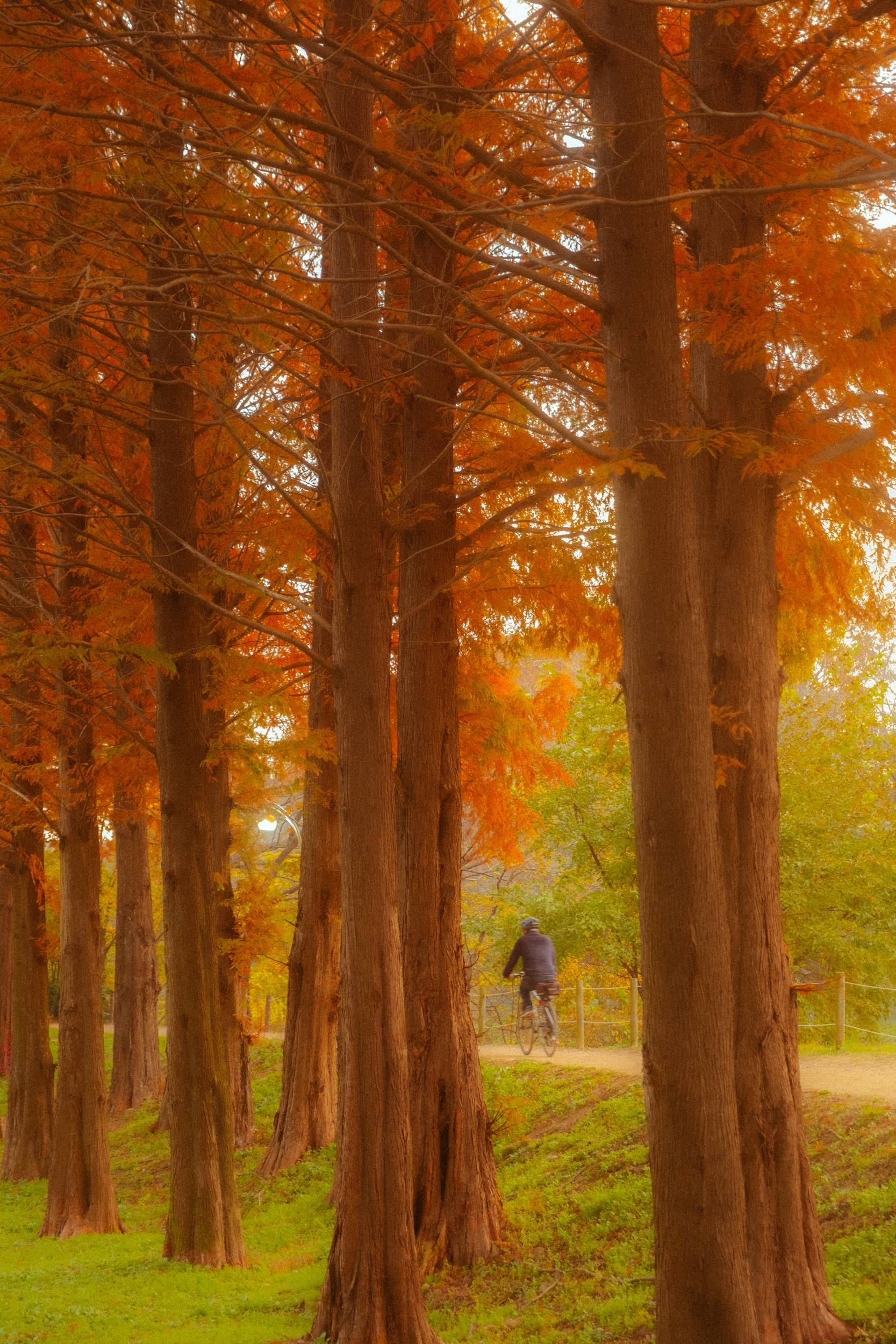 어제 담아온 가을 🍂 | 인스티즈