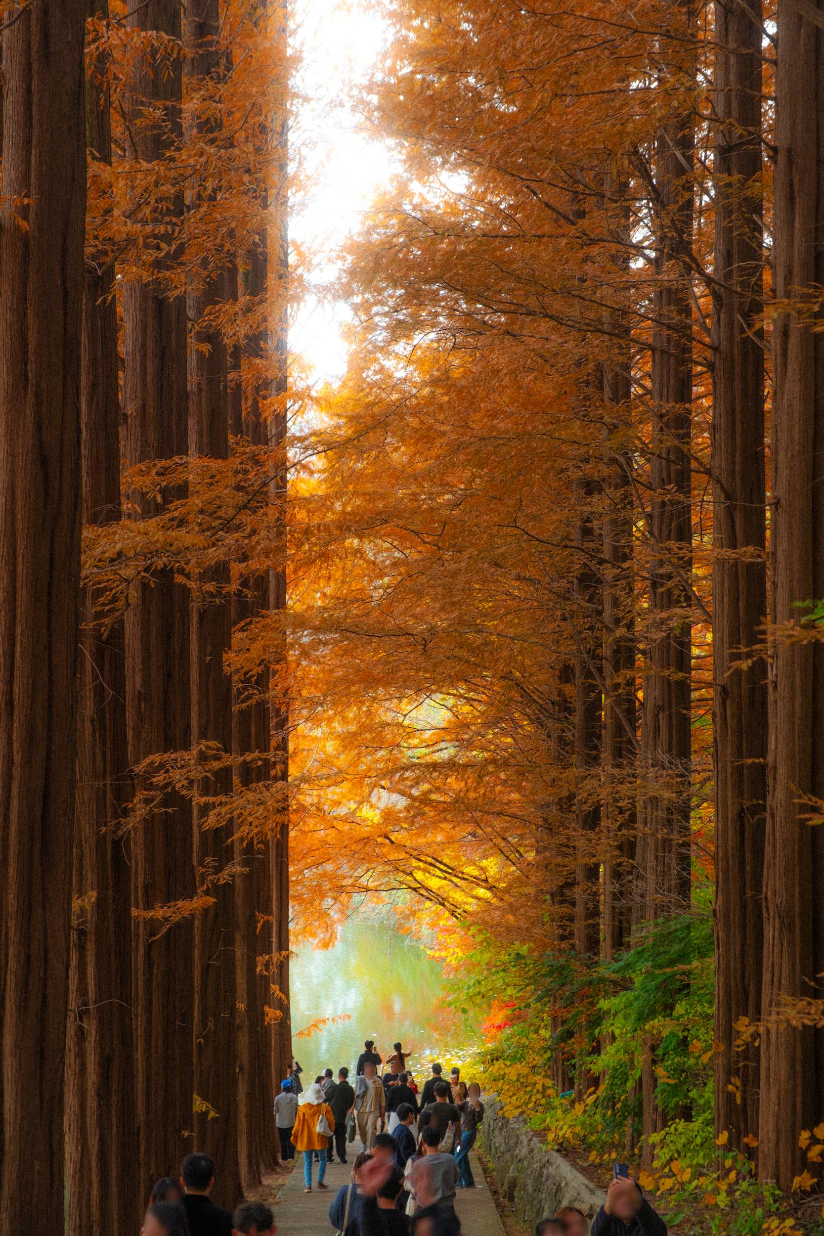 어제 담아온 가을 🍂 | 인스티즈