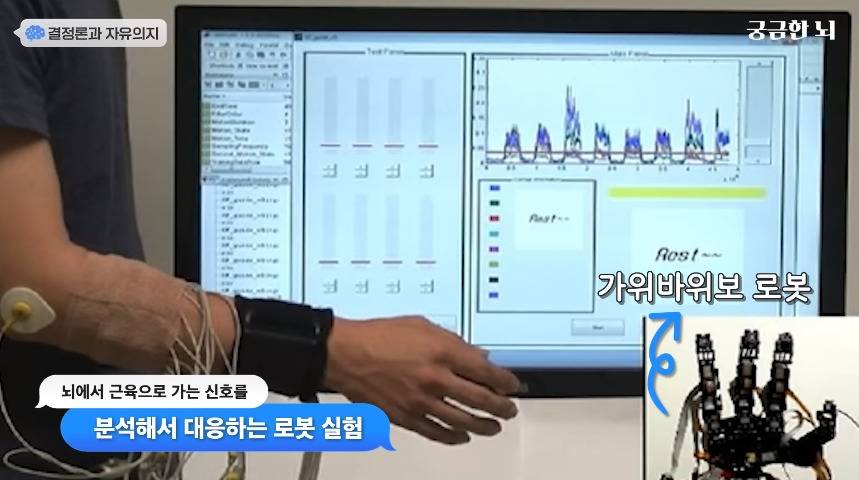 인간의 자유의지가 없다는 걸 증명한 충격적인 실험.jpg | 인스티즈