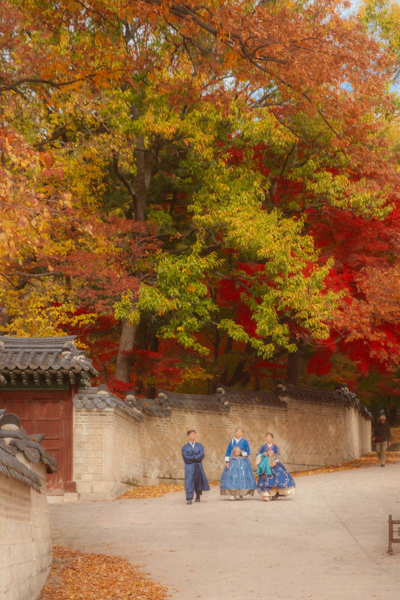 어제 담아온 가을 🍂 | 인스티즈