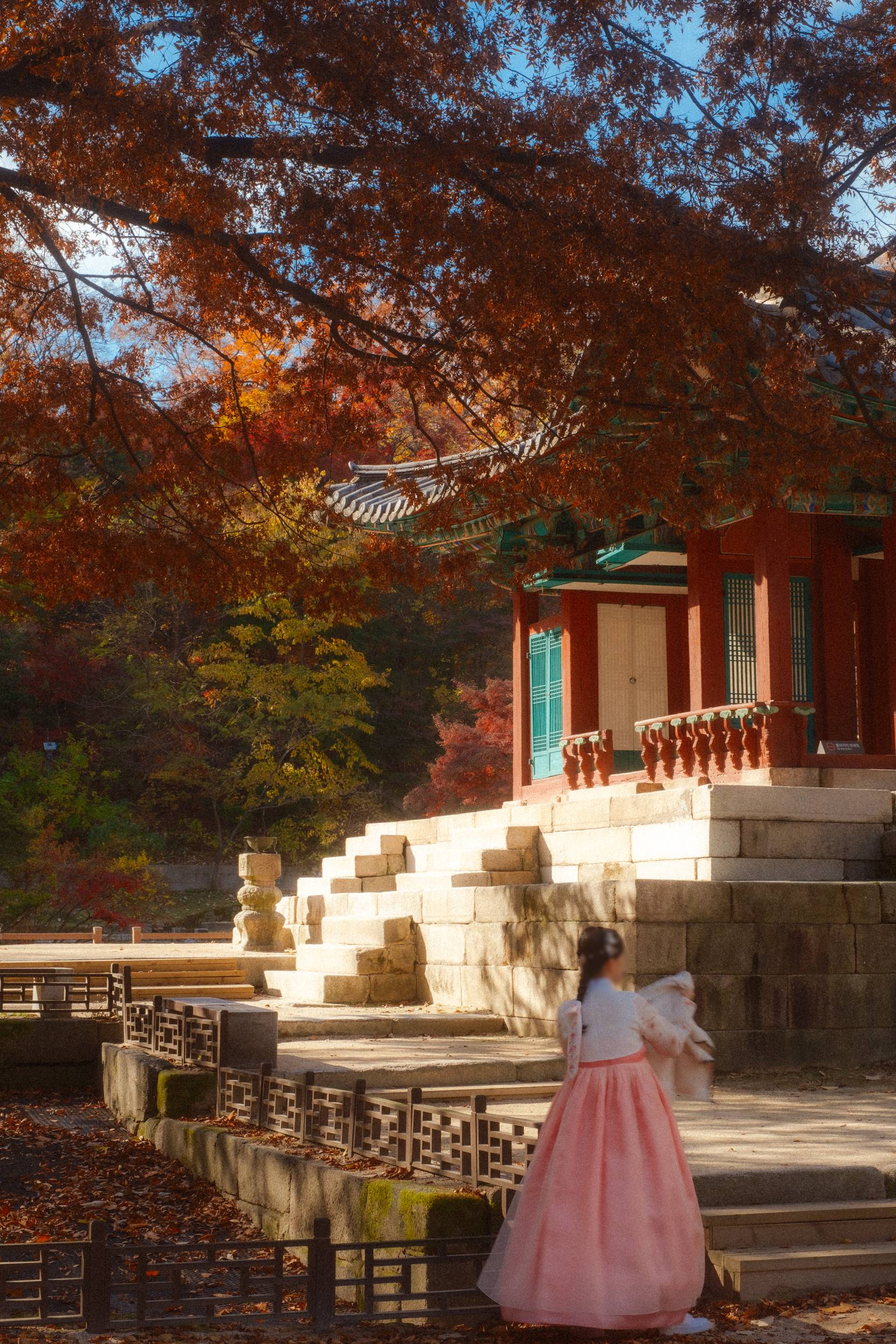 어제 담아온 가을 🍂 | 인스티즈