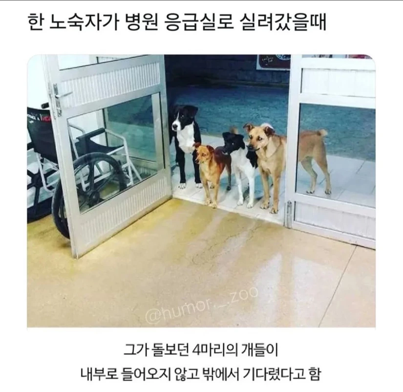 노숙자가 병원 응급실에 실려갔을 때.jpg | 인스티즈