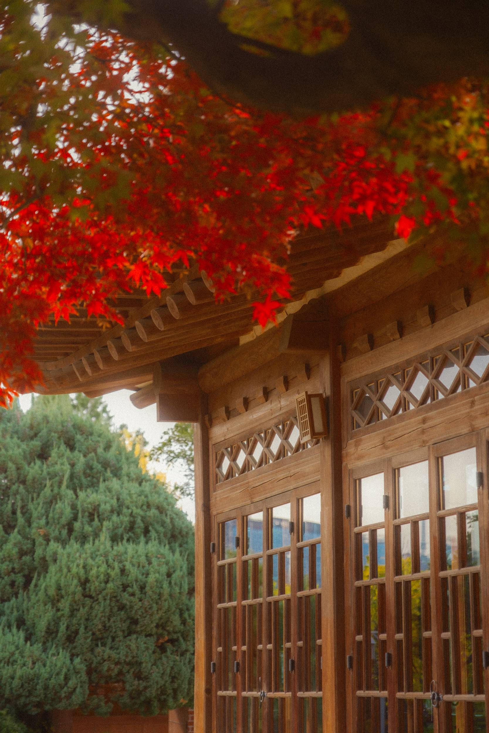 어제 담아온 가을 🍂 | 인스티즈