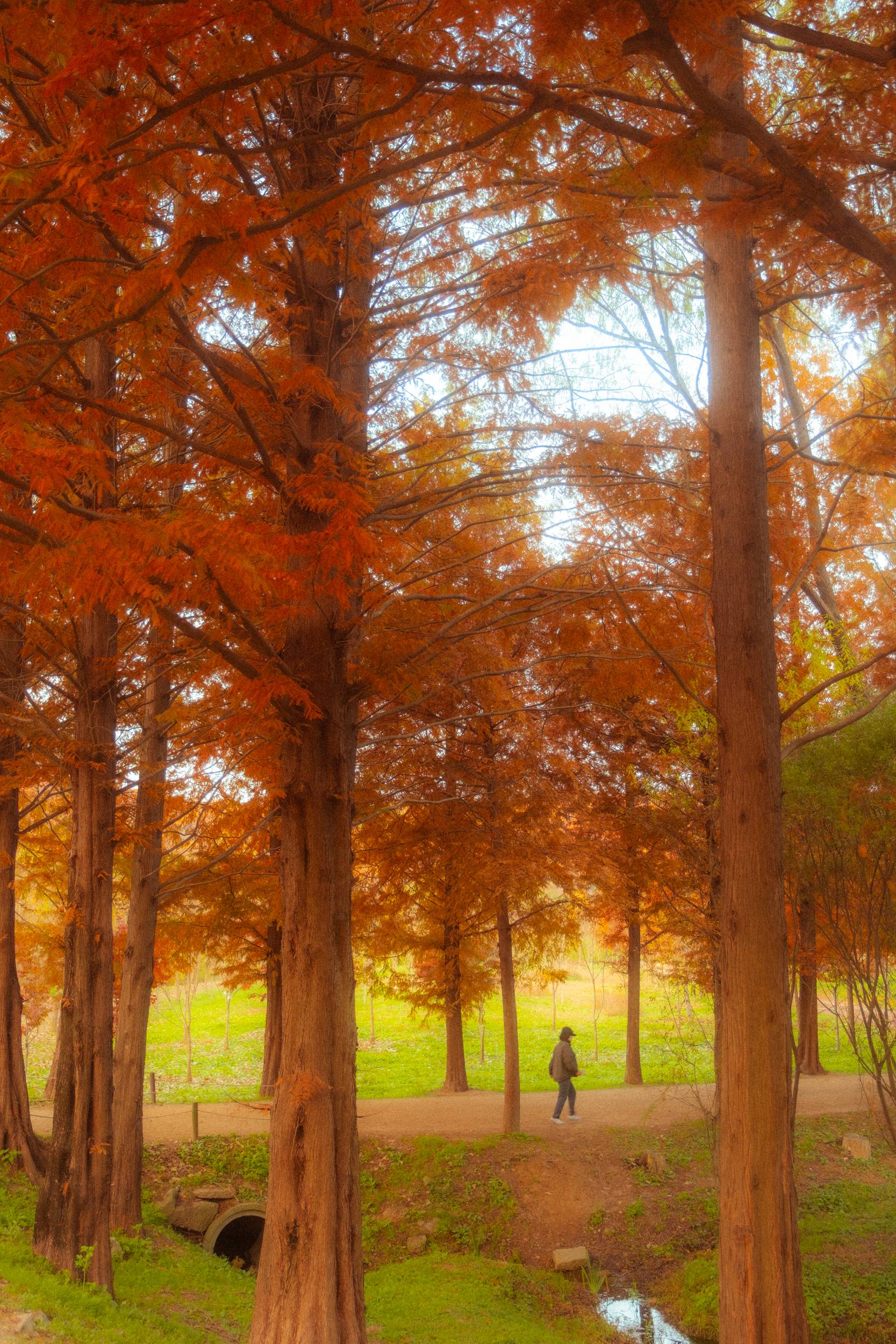 어제 담아온 가을 🍂 | 인스티즈