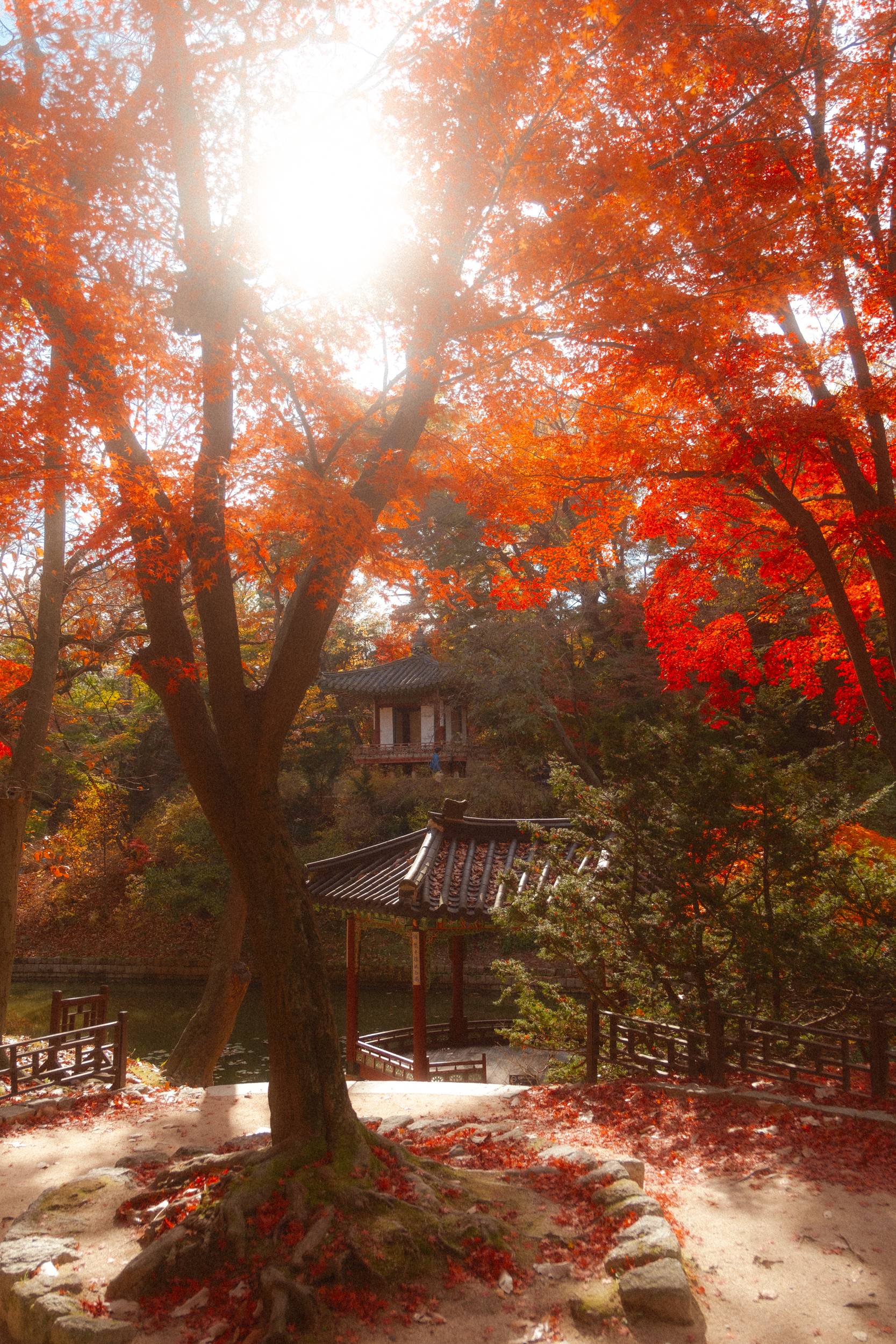 어제 담아온 가을 🍂 | 인스티즈