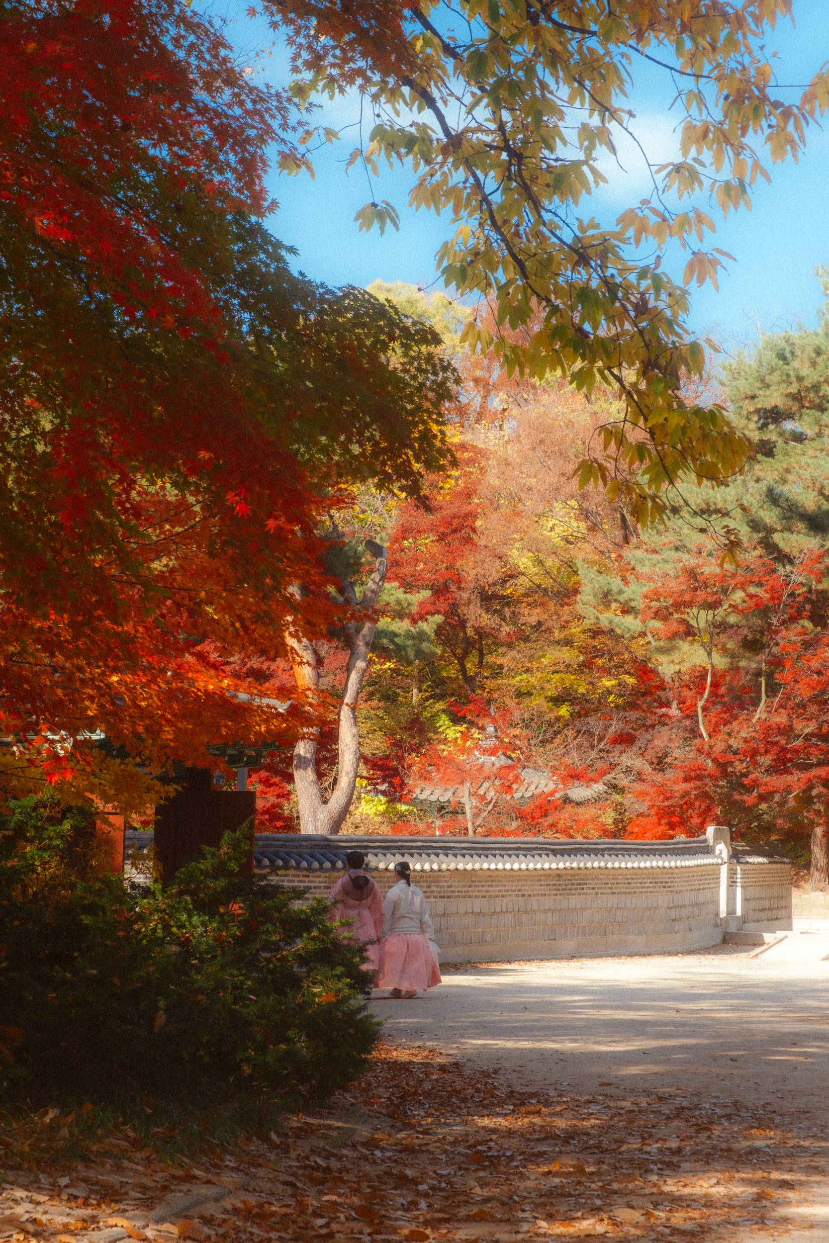 어제 담아온 가을 🍂 | 인스티즈