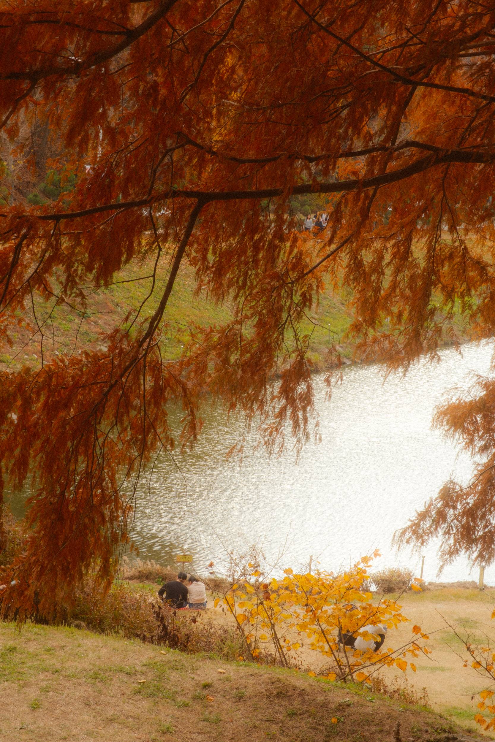 어제 담아온 가을 🍂 | 인스티즈