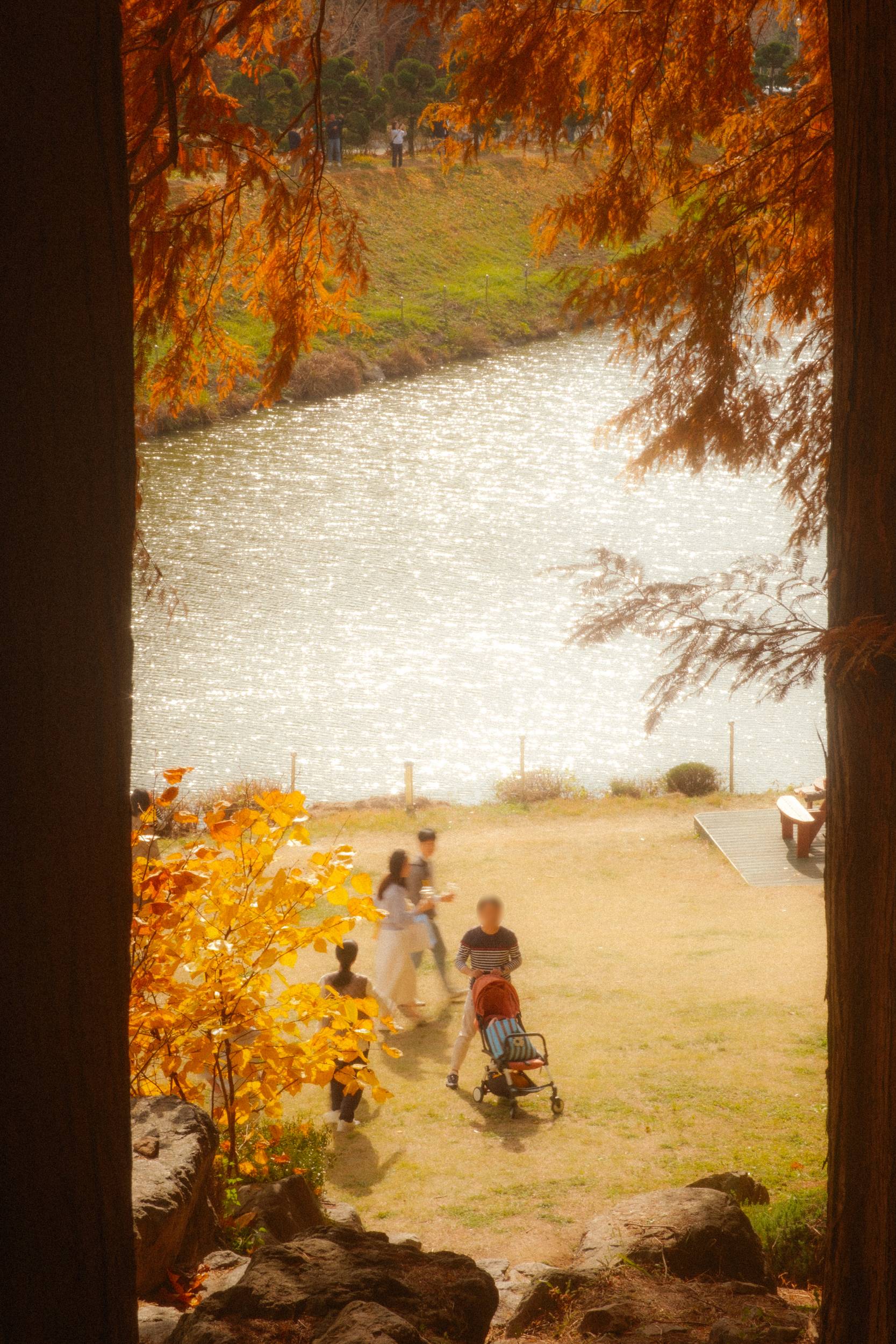 어제 담아온 가을 🍂 | 인스티즈