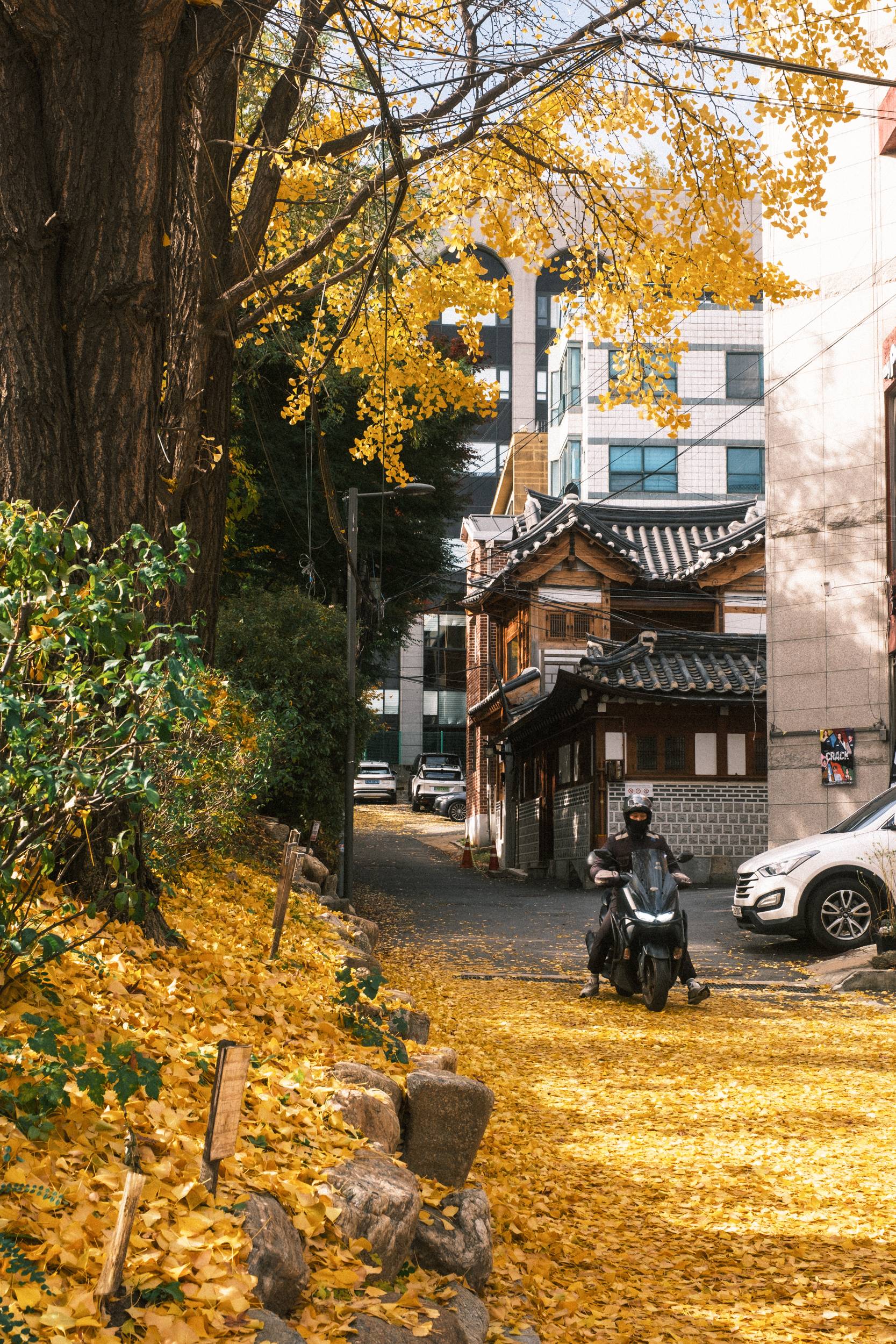 어제 담아온 가을 🍂 | 인스티즈