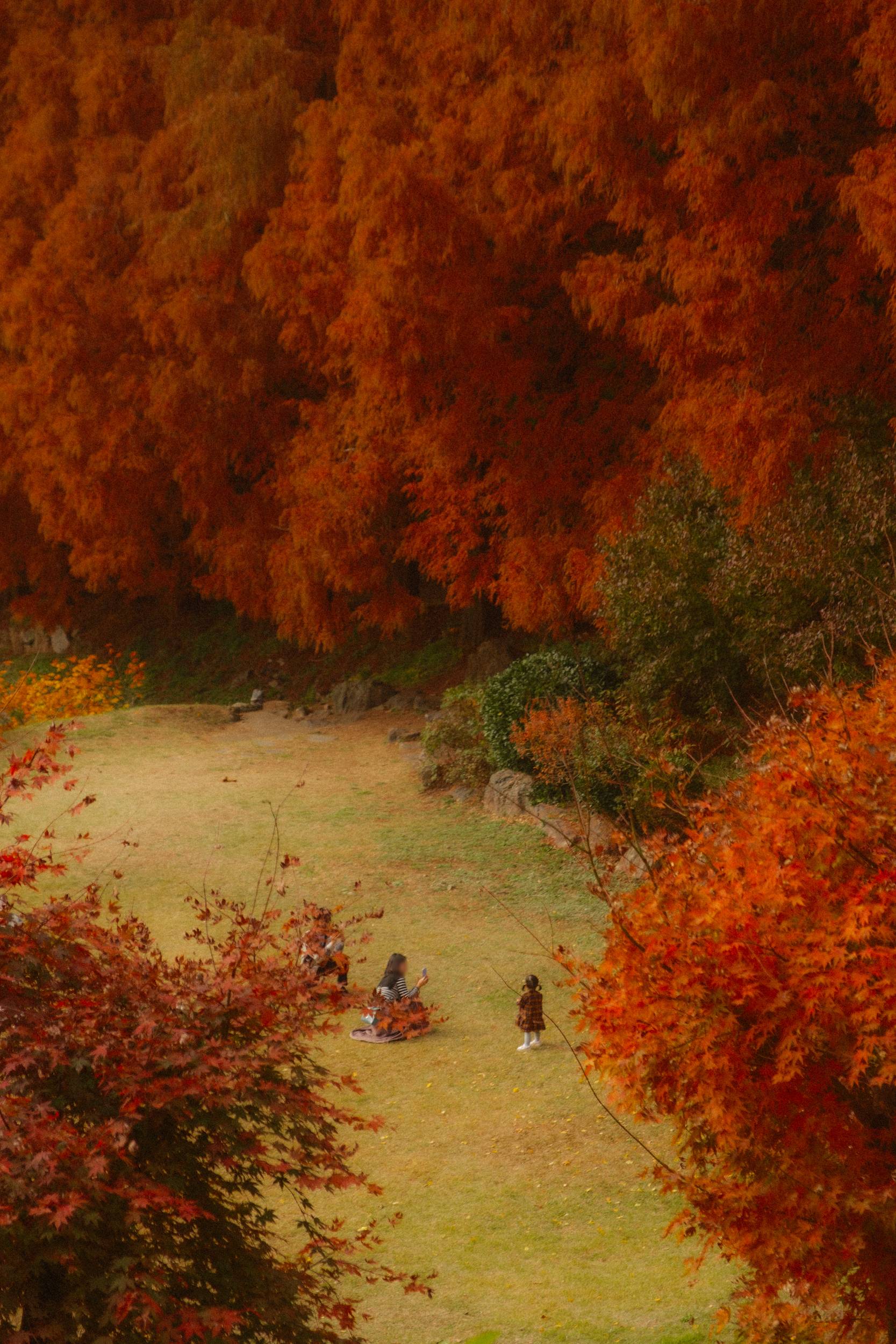 어제 담아온 가을 🍂 | 인스티즈
