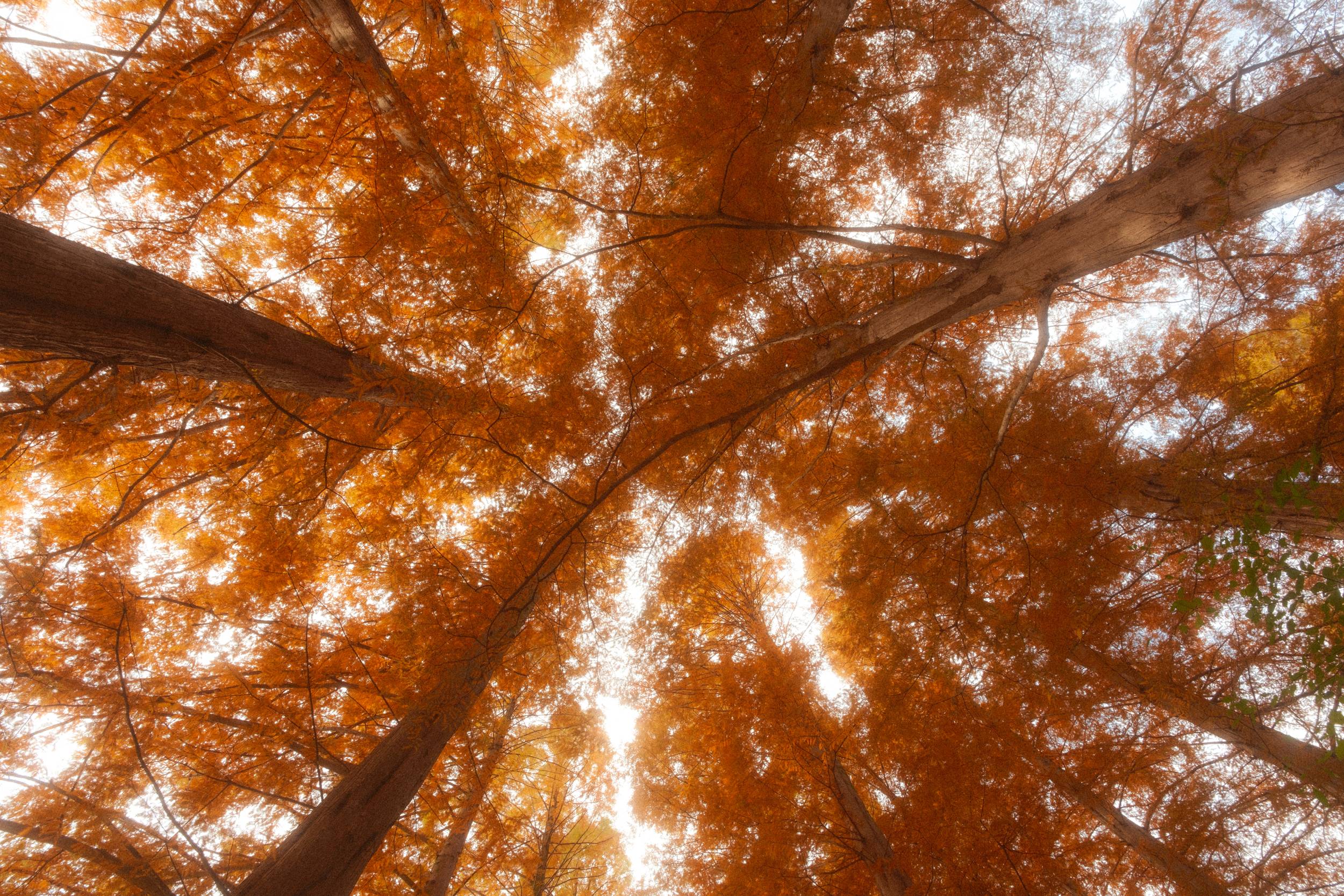 어제 담아온 가을 🍂 | 인스티즈