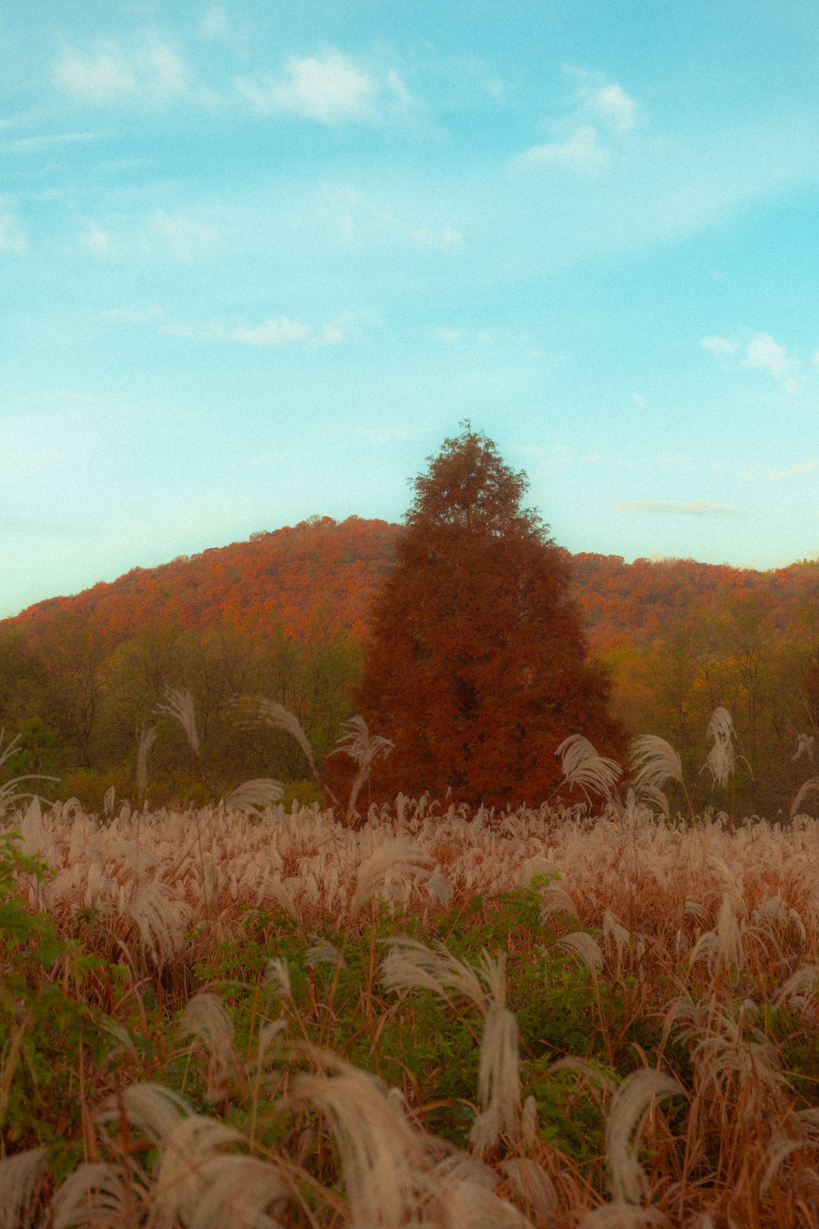 어제 담아온 가을 🍂 | 인스티즈