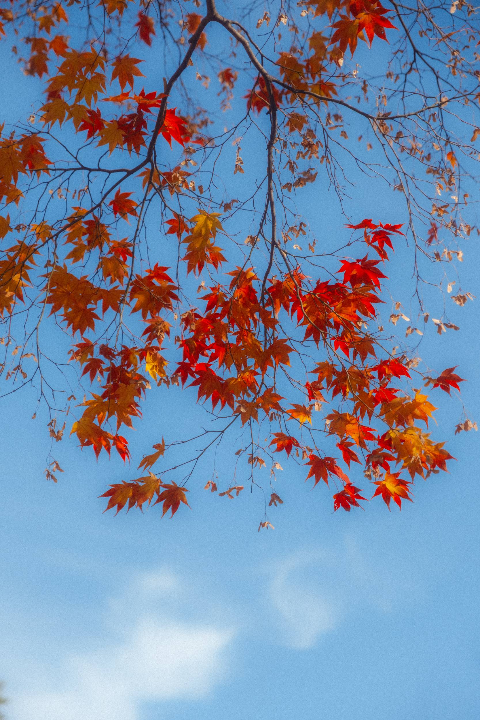 어제 담아온 가을 🍂 | 인스티즈