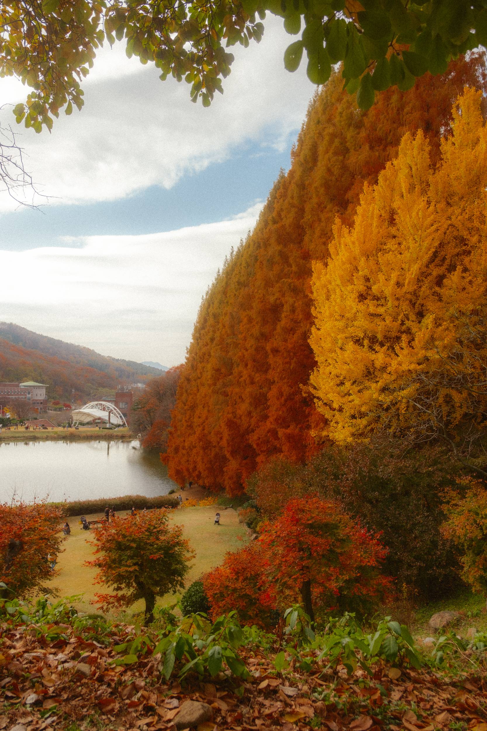 어제 담아온 가을 🍂 | 인스티즈