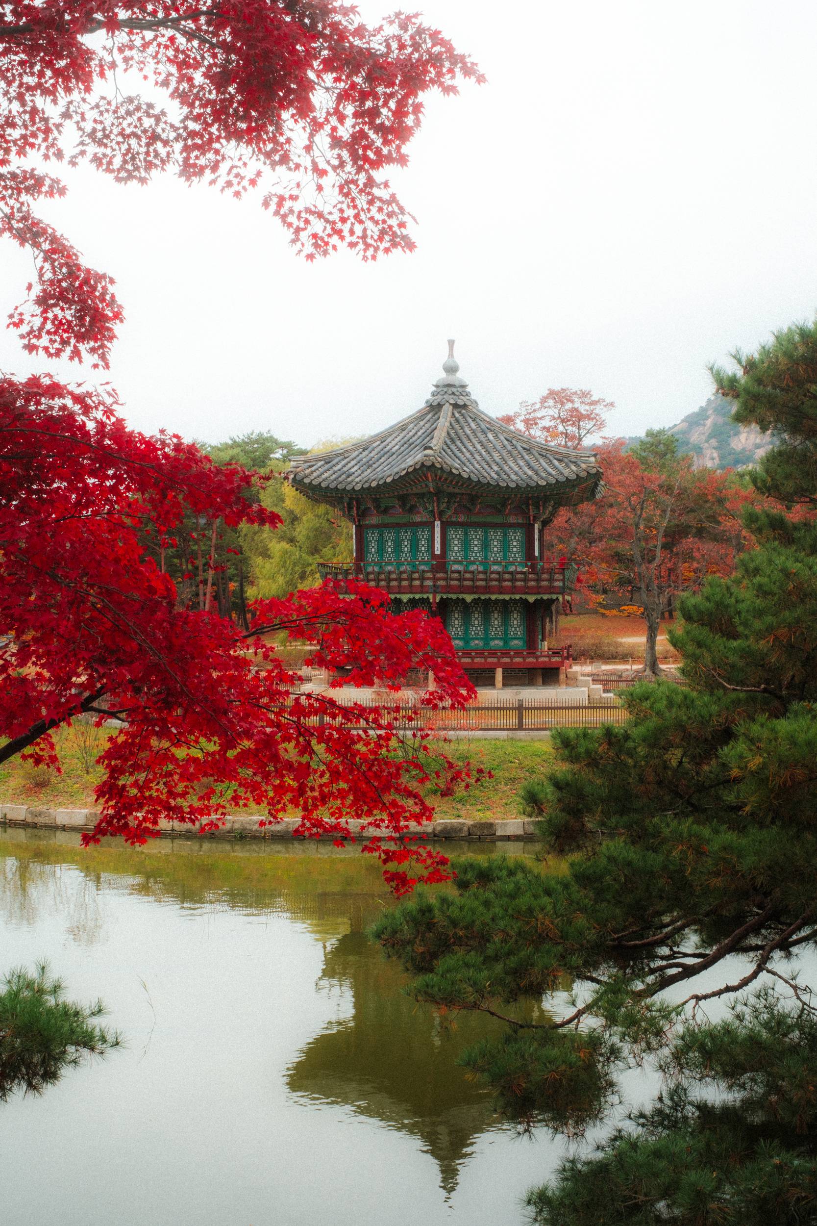 어제 담아온 가을 🍂 | 인스티즈