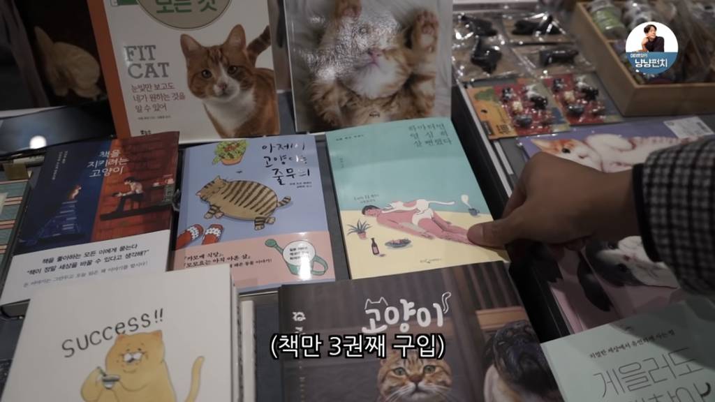 너무 극명하게 차이나서 웃긴 고양이 수의사들의 캣페스타 방문.jpg | 인스티즈