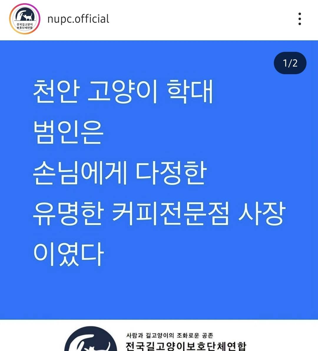 천안 길고양이 학대 사건 가해자 신상털림‼️ 공익목적⭕️ 천안 디저트카페 사장임 | 인스티즈