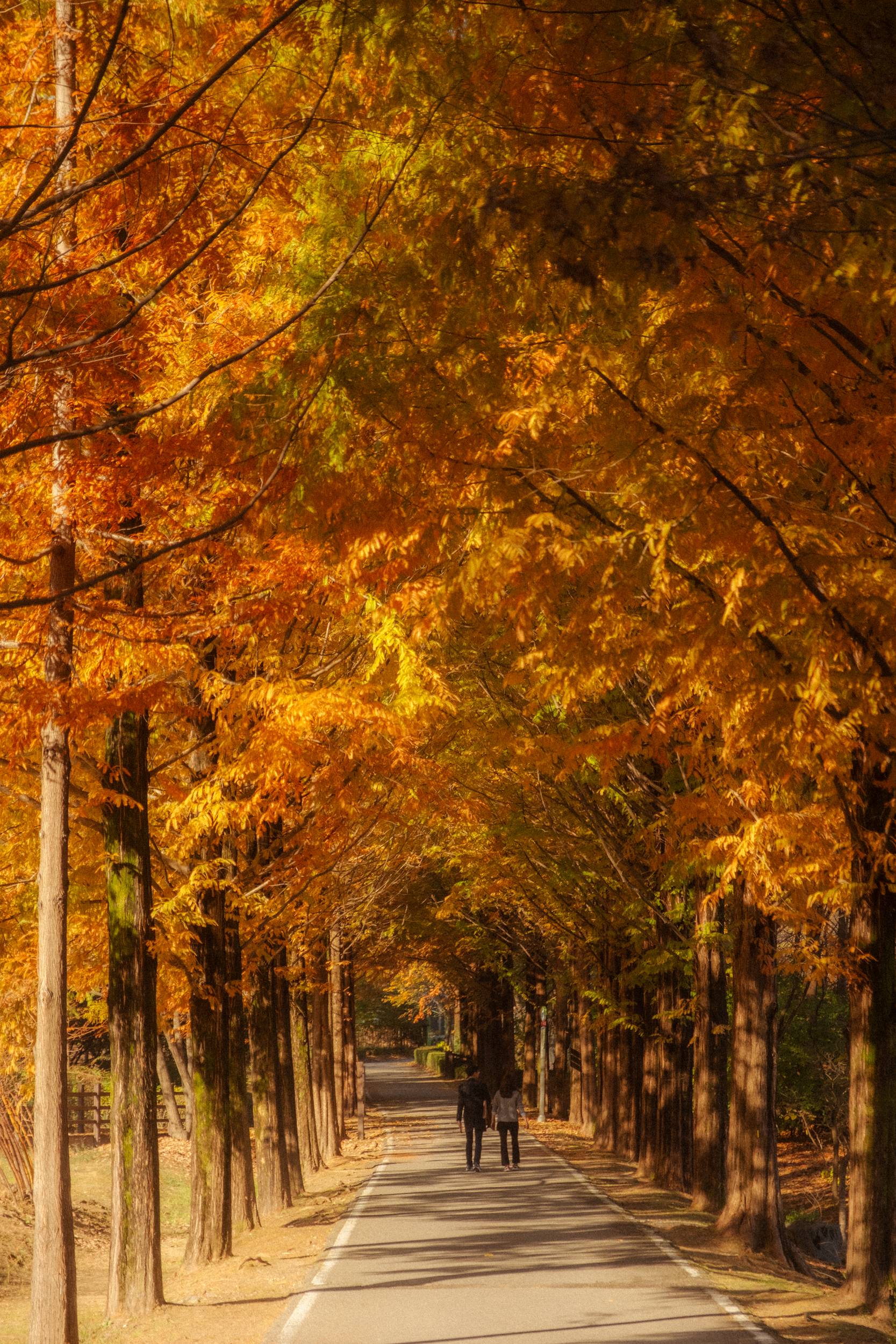 어제 담아온 가을 🍂 | 인스티즈