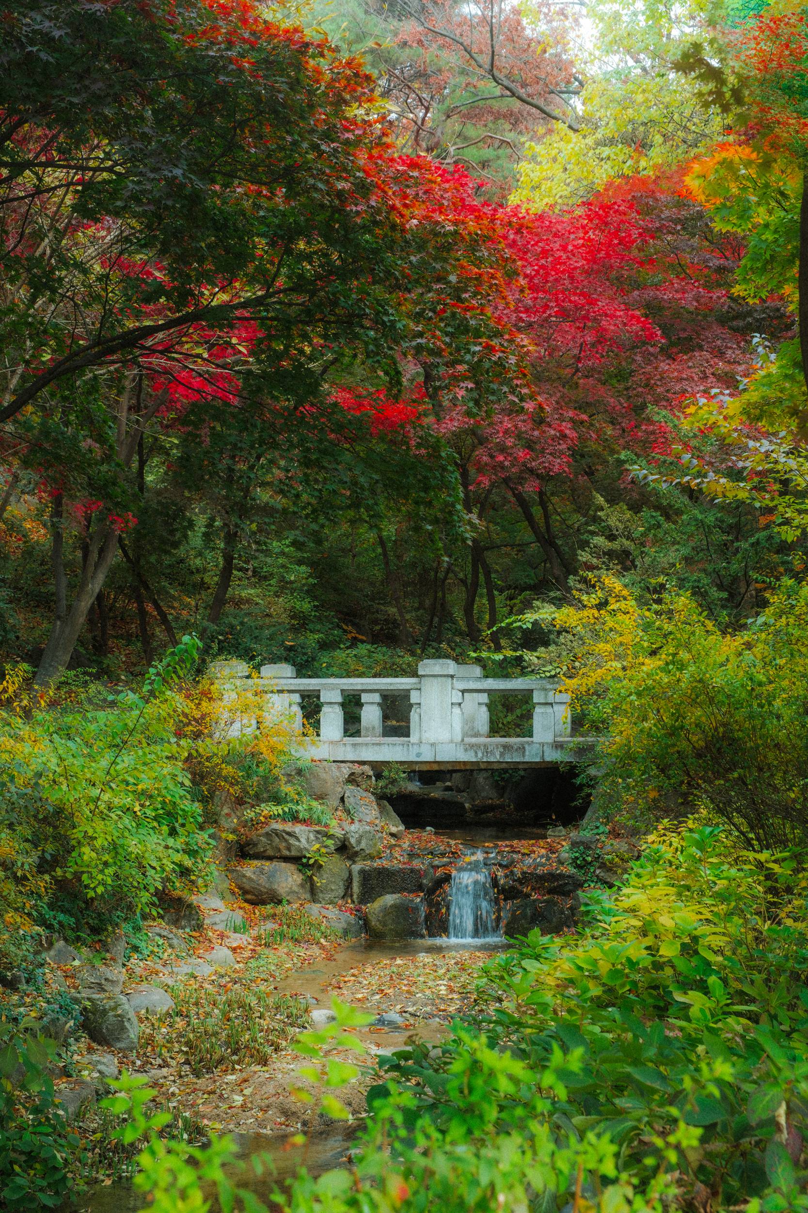 어제 담아온 가을 🍂 | 인스티즈