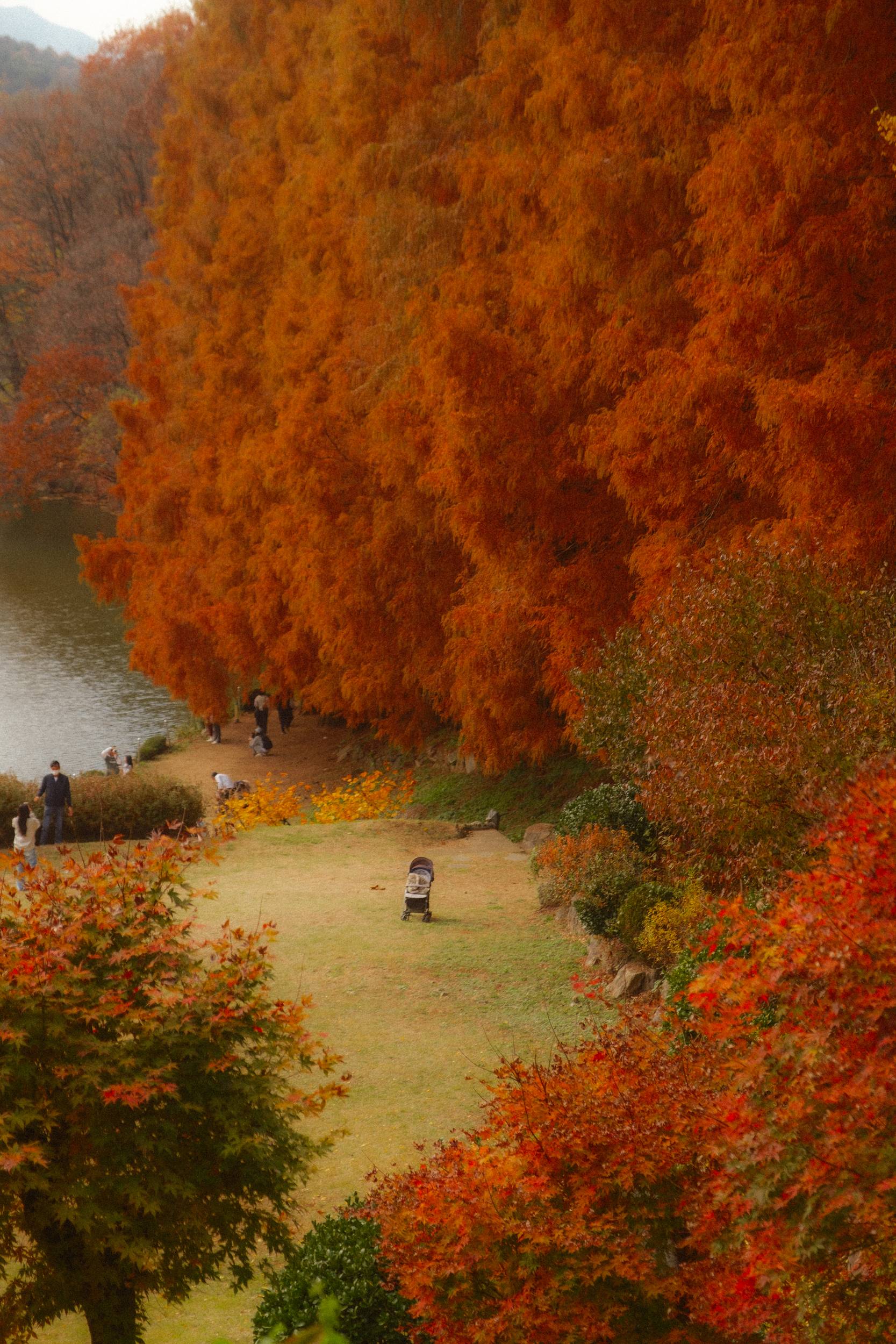 어제 담아온 가을 🍂 | 인스티즈