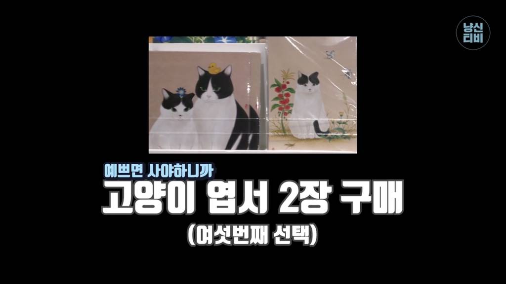 너무 극명하게 차이나서 웃긴 고양이 수의사들의 캣페스타 방문.jpg | 인스티즈