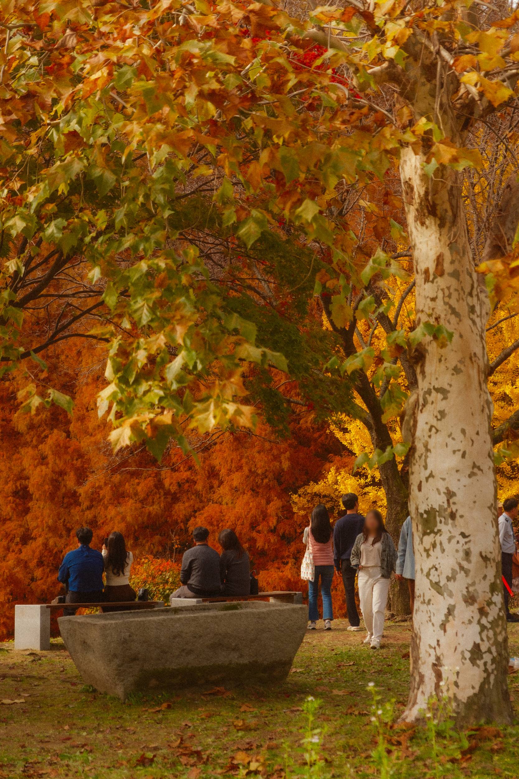 어제 담아온 가을 🍂 | 인스티즈