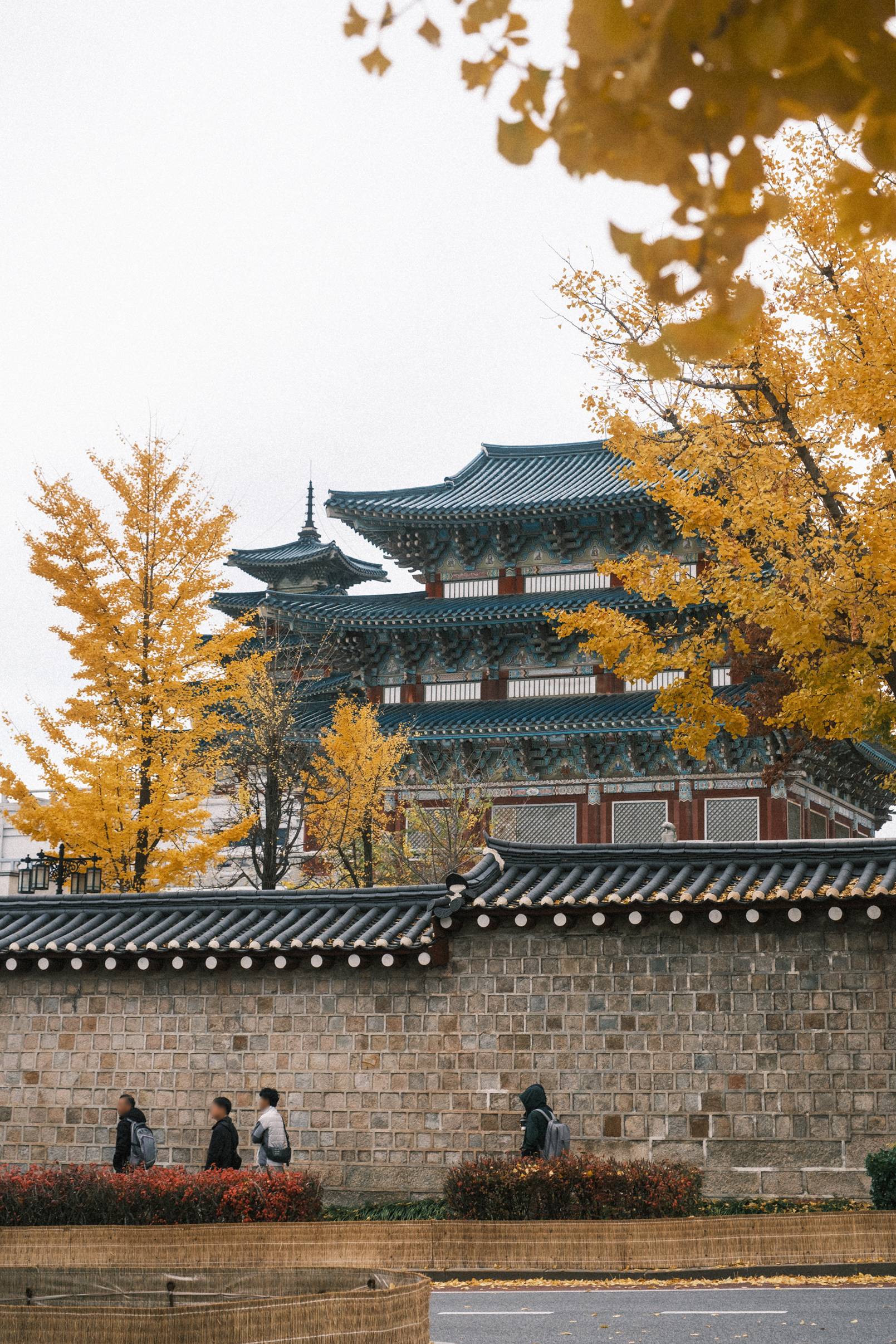 어제 담아온 가을 🍂 | 인스티즈