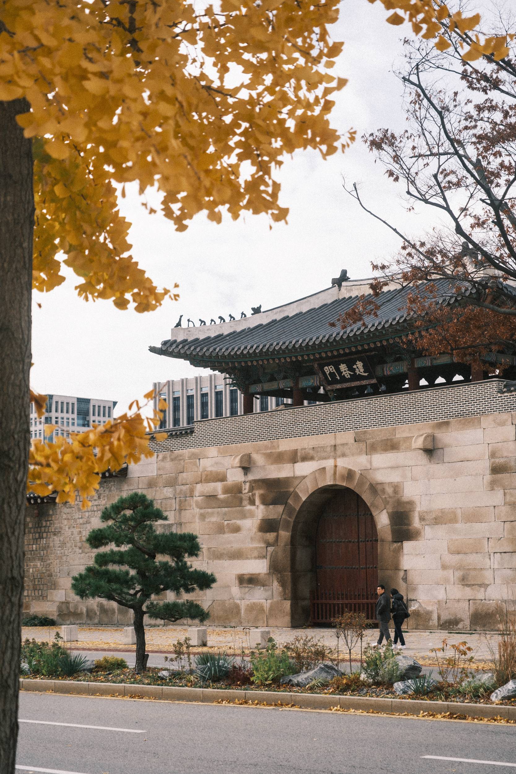 어제 담아온 가을 🍂 | 인스티즈