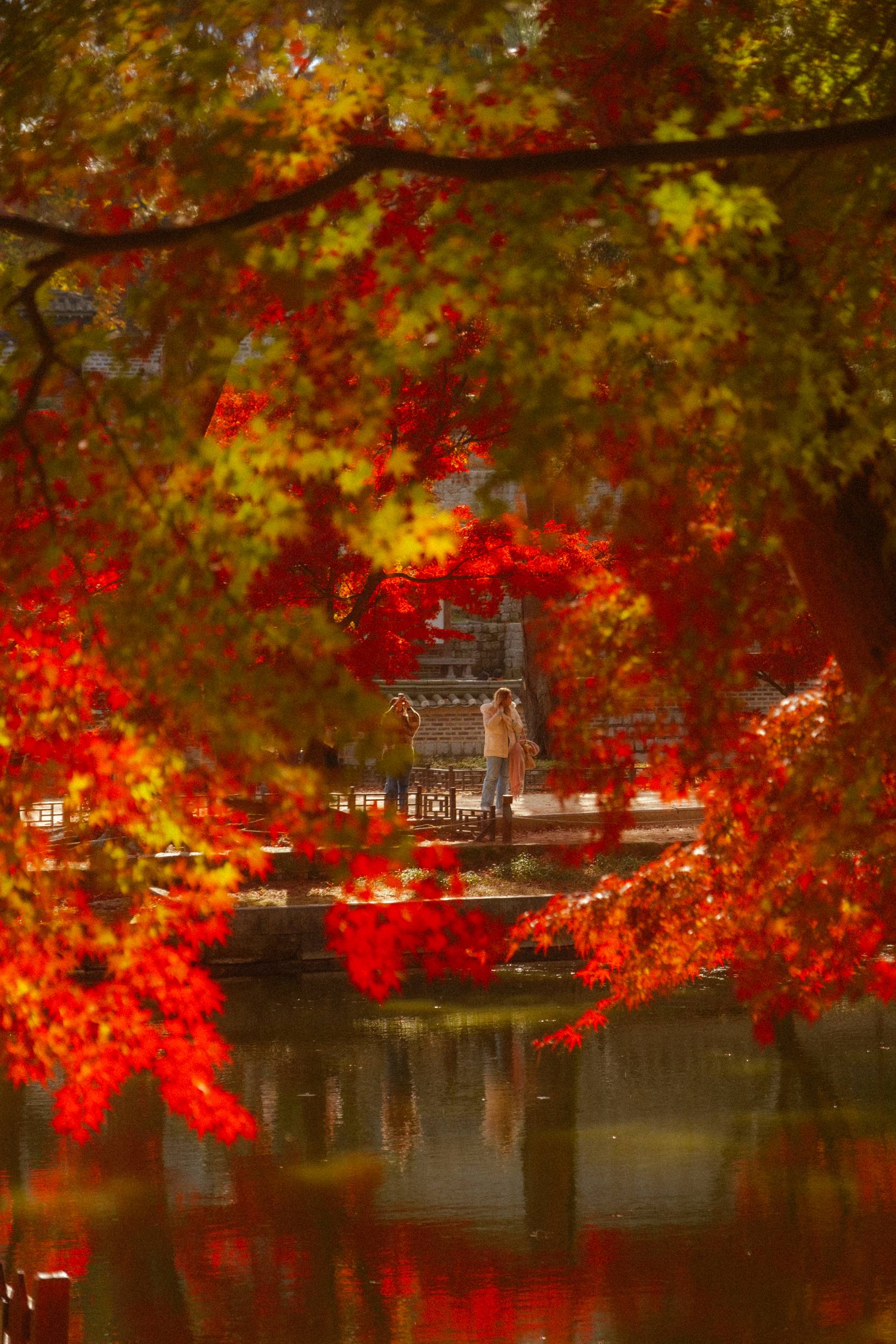 어제 담아온 가을 🍂 | 인스티즈