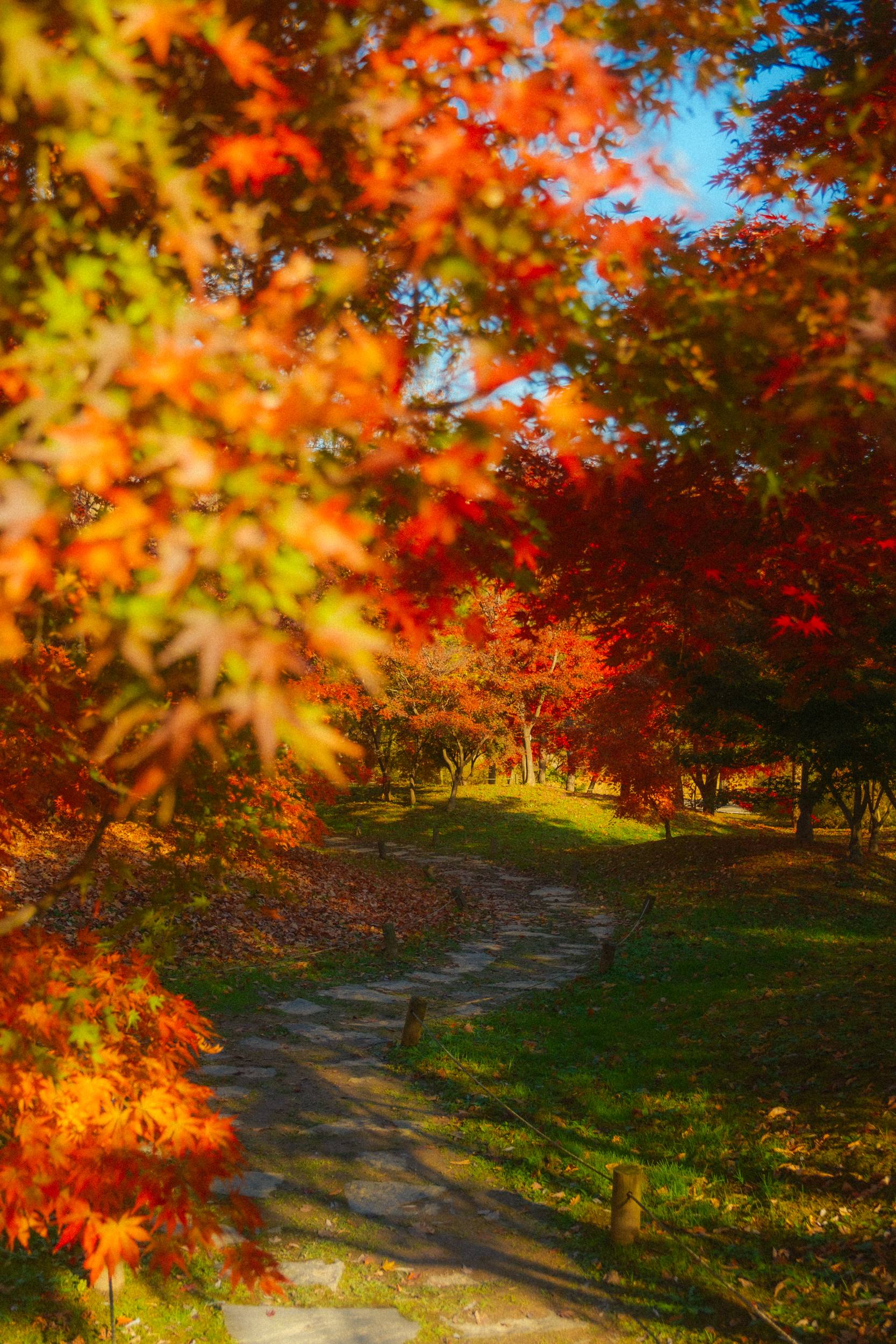 어제 담아온 가을 🍂 | 인스티즈