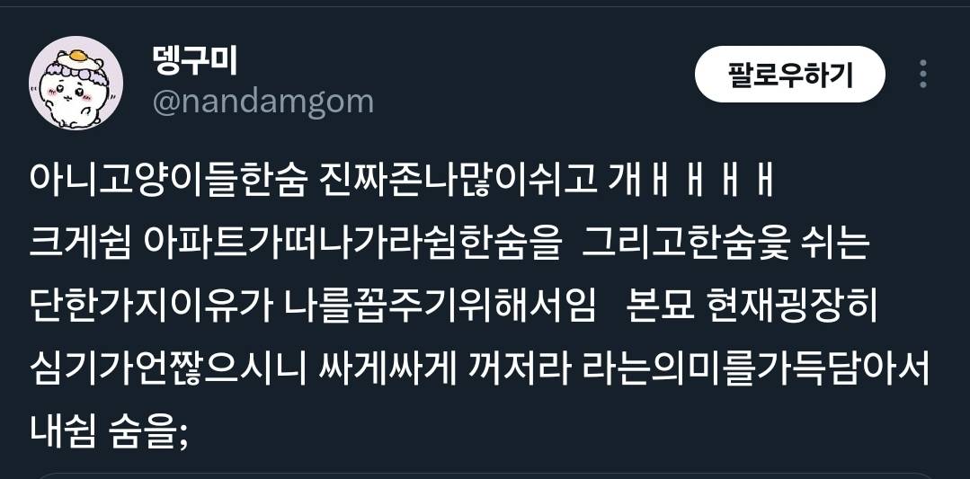 고양이도 한숨을 쉬어? | 인스티즈