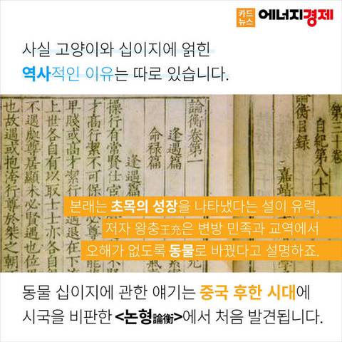 왜 12간지에는 고양이띠가 없을까? | 인스티즈