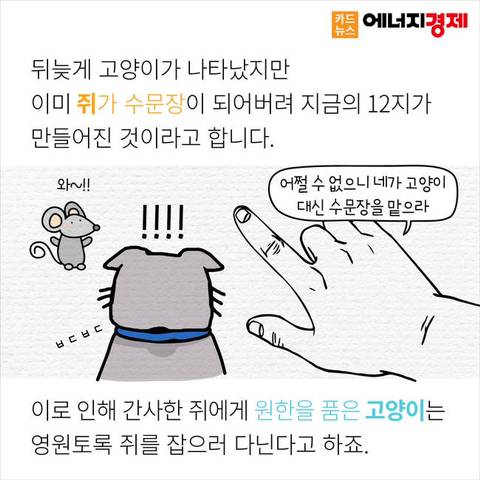 왜 12간지에는 고양이띠가 없을까? | 인스티즈