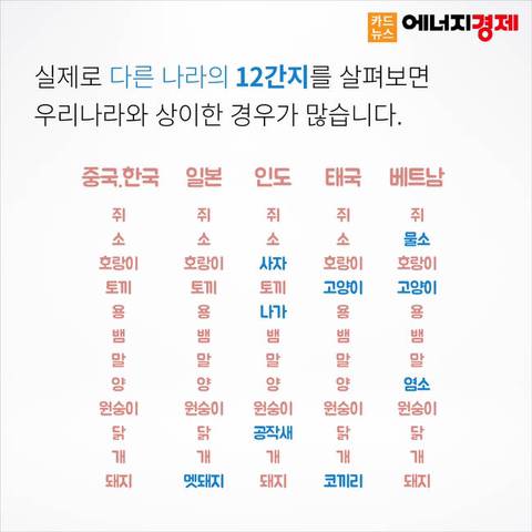 왜 12간지에는 고양이띠가 없을까? | 인스티즈