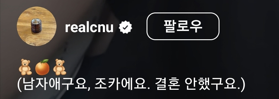 릴스 올렸다가 결혼부터 이것저것 해명중인 아이돌 | 인스티즈