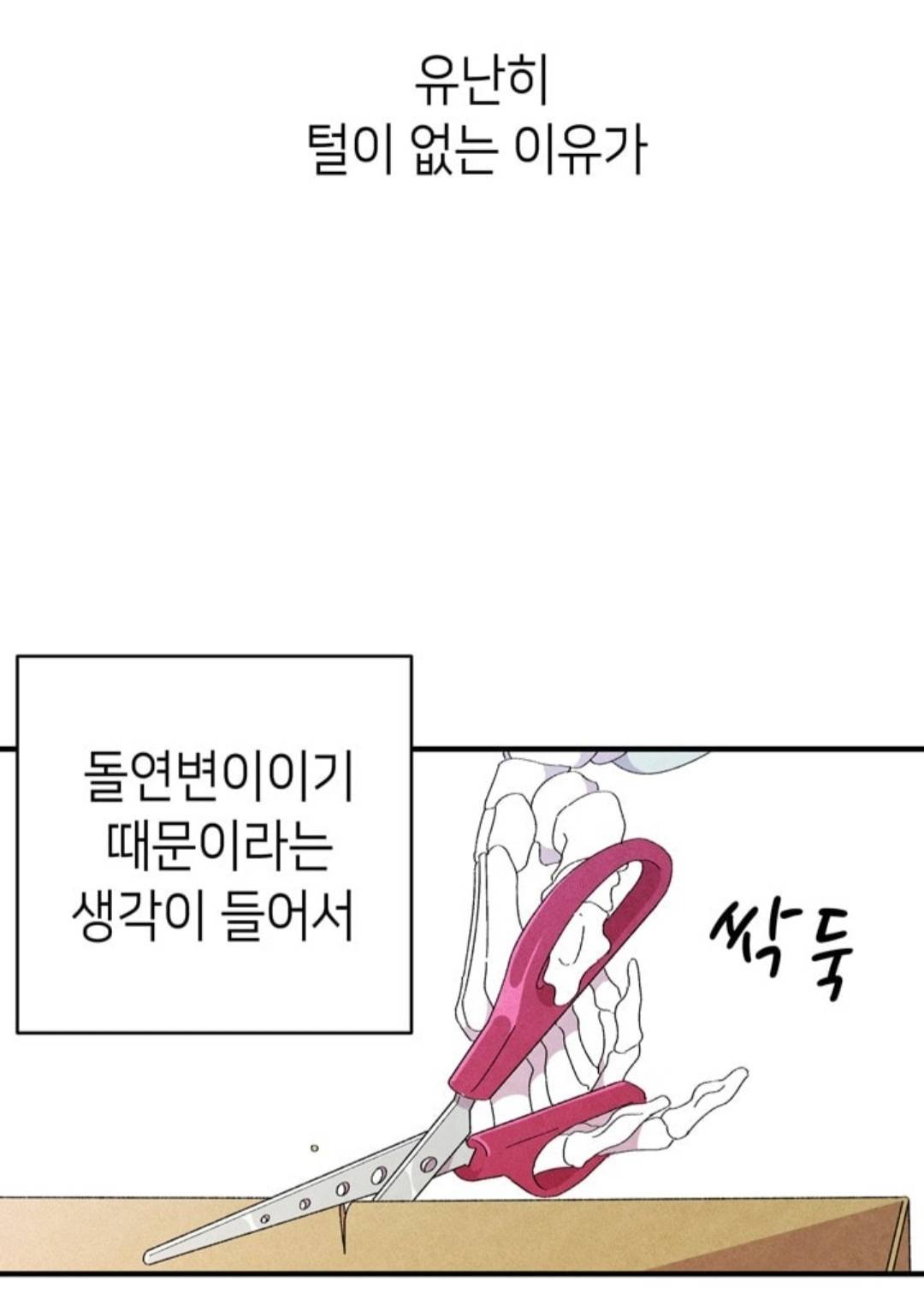 독립하면서 고양이를 분양받았는데... 돌연변이가 왔어요...; | 인스티즈