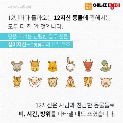 왜 12간지에는 고양이띠가 없을까? | 인스티즈