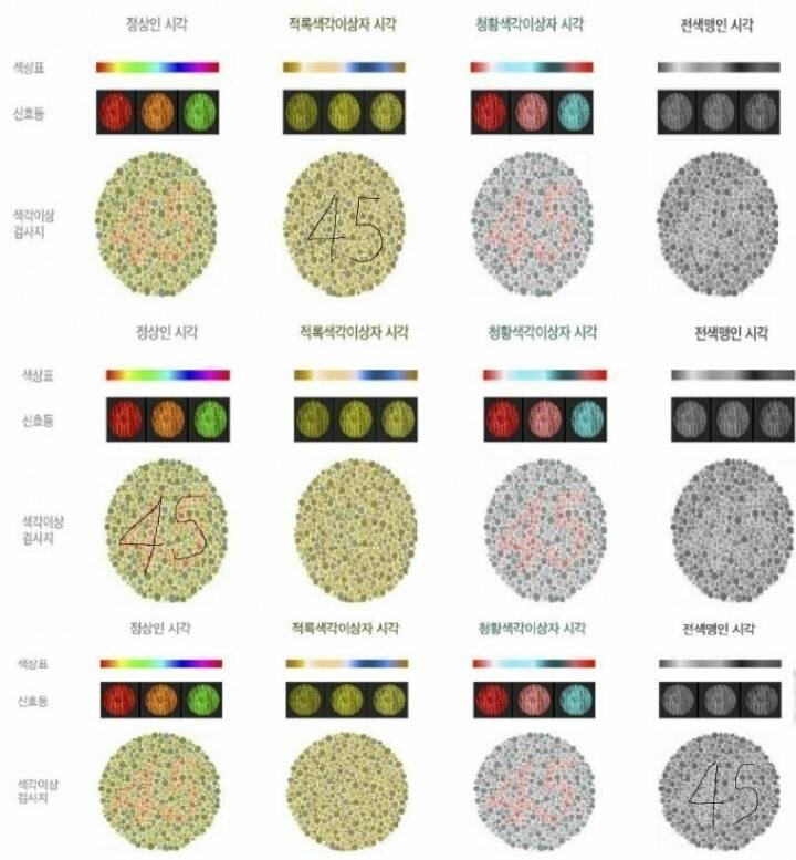 색맹종류 | 인스티즈