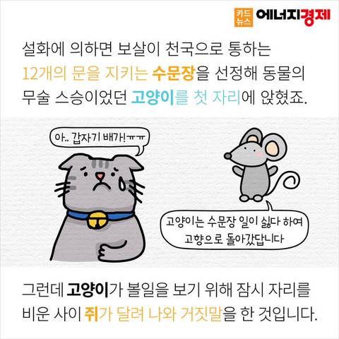 왜 12간지에는 고양이띠가 없을까? | 인스티즈