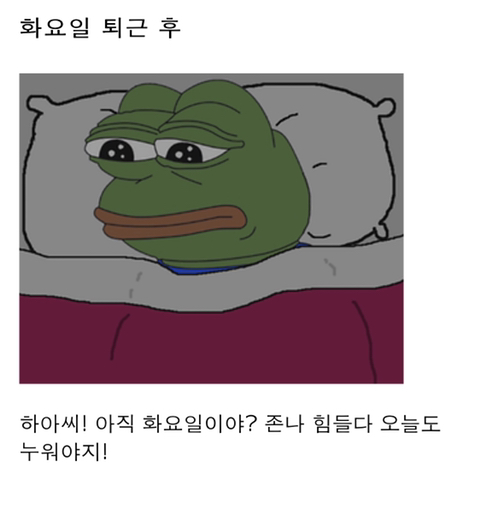 직장인들의 90%가 이런다고 하는 1주일 일상패턴.jpg | 인스티즈