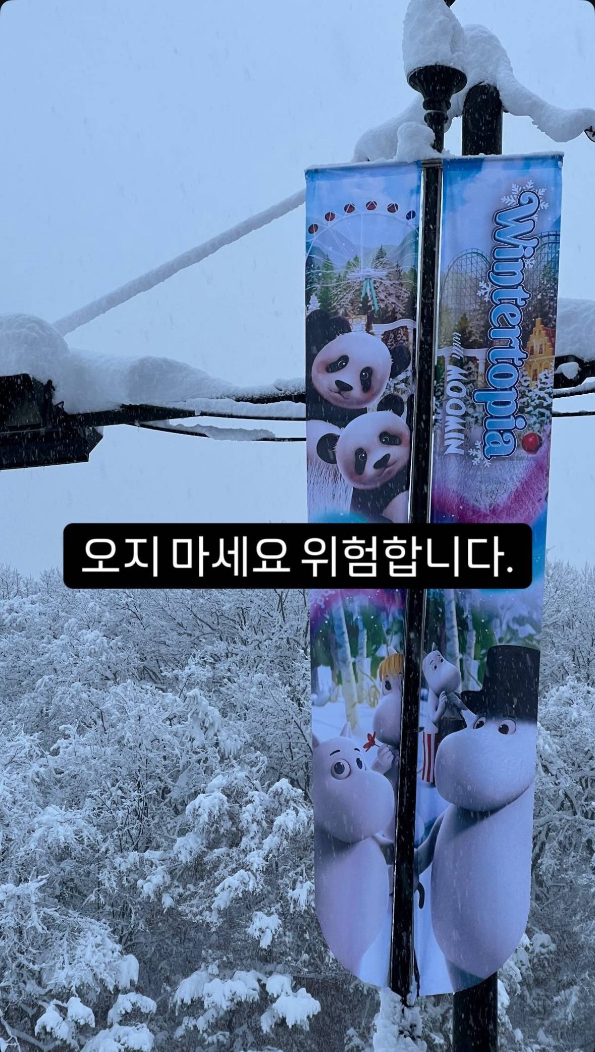 오늘자 에버랜드 근황 | 인스티즈