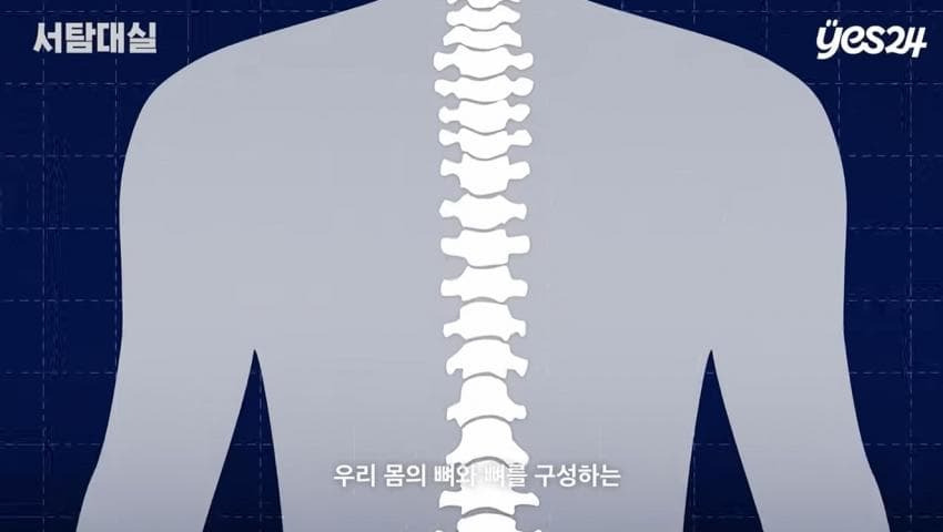 의사가 알려주는 독서를 위한 최적의 자세 | 인스티즈