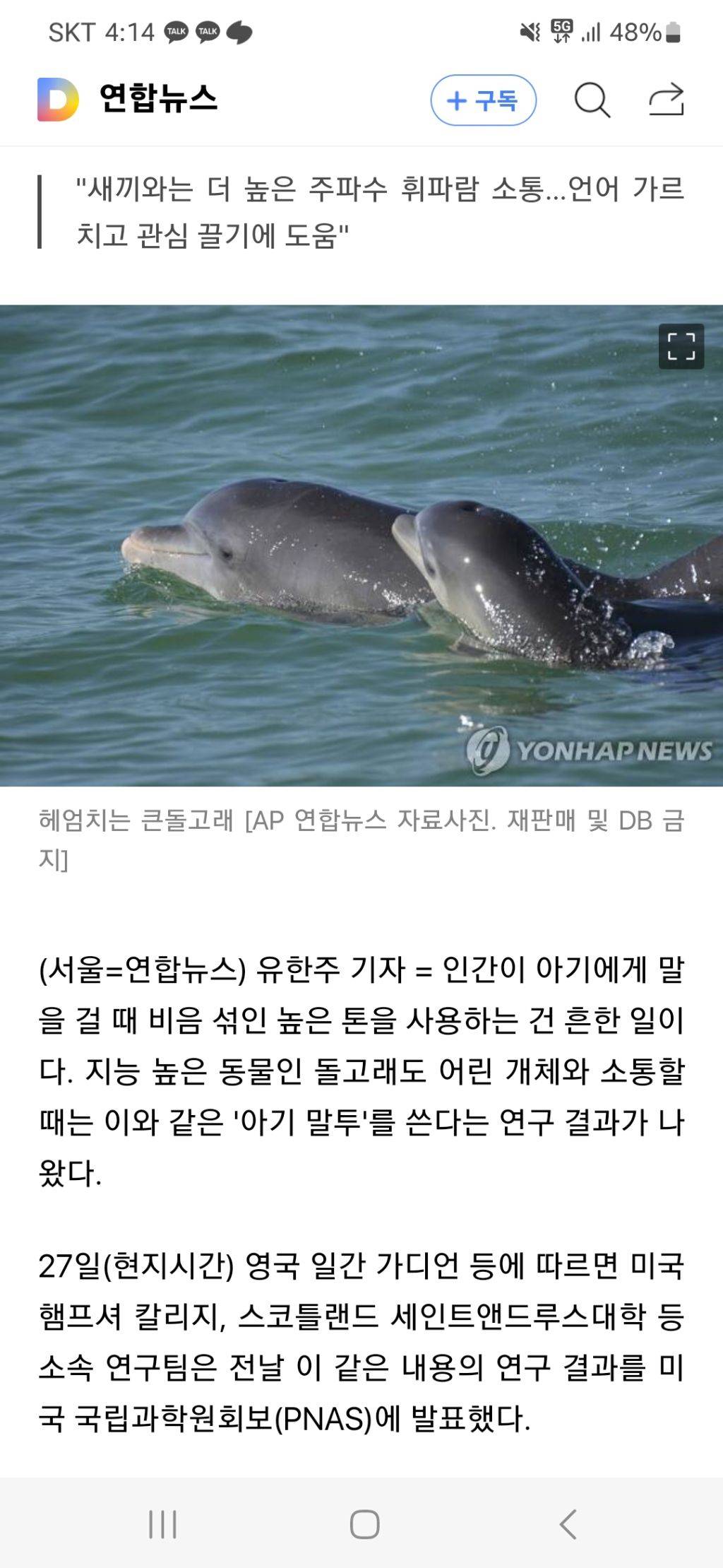 "엄마 여기 있져"…돌고래도 새끼에게 '아기 말투' 쓴다 | 인스티즈