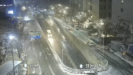 눈 오는 서울 cctv 이곳저곳.gif | 인스티즈