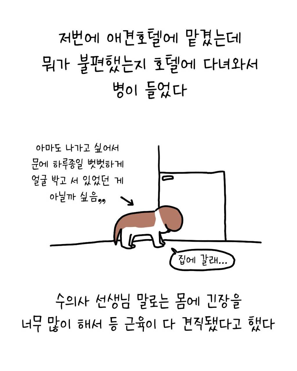 이웃집에 강아지를 맡기는 이야기 | 인스티즈